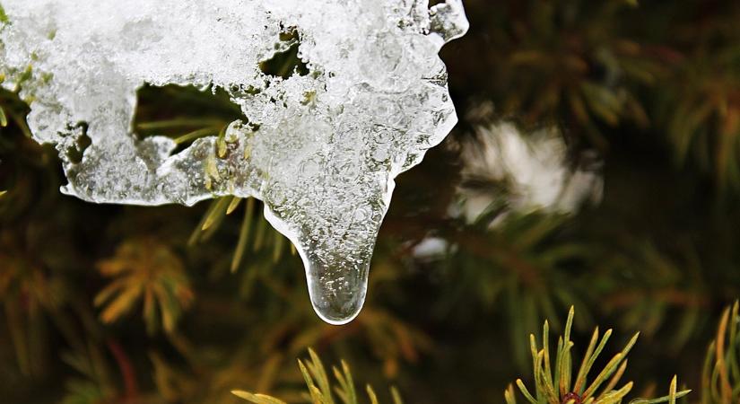 A 3 legveszélyesebb fagycsapda a kertben – és hogyan szüntesd meg?
