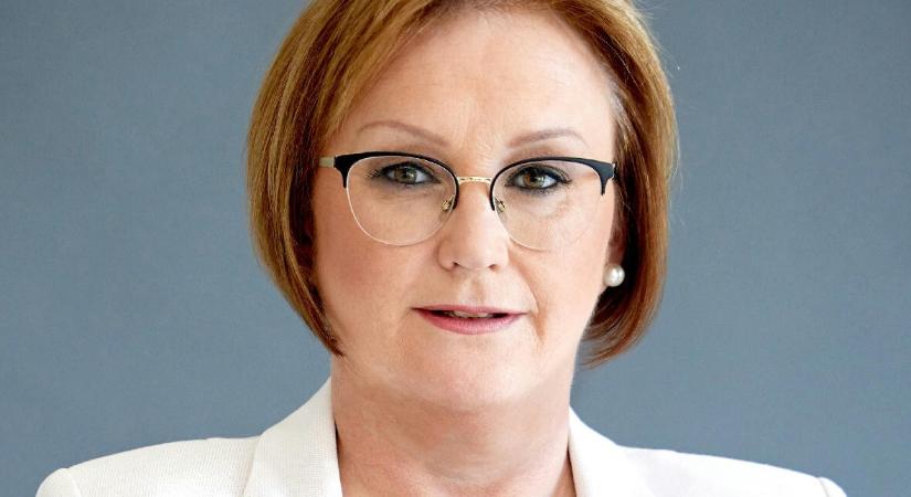 A Rossmanntól kap eladási praktikákat a Praktiker