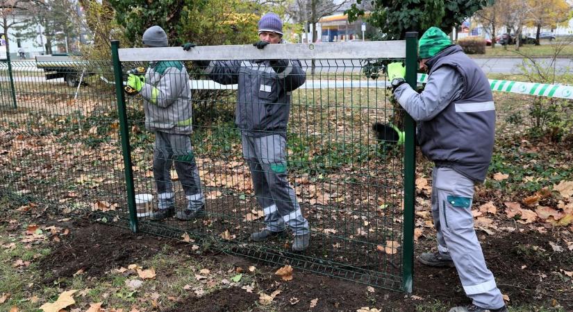 Biztonságos és jól felszerelt kutyafuttató épül Szolnokon: mutatjuk, hol