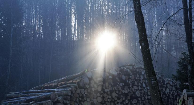 Hétvégén is harcol a Nap a köddel: lesz, ahol győz, de az ország nagy része borús marad