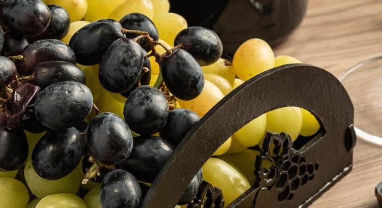 Sok moldáv szőlőt lát a boltokban? Jövőre még többet fog