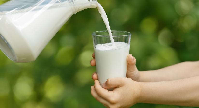 Bővül az iskolatej-program – év közben is csatlakozhatnak az intézmények