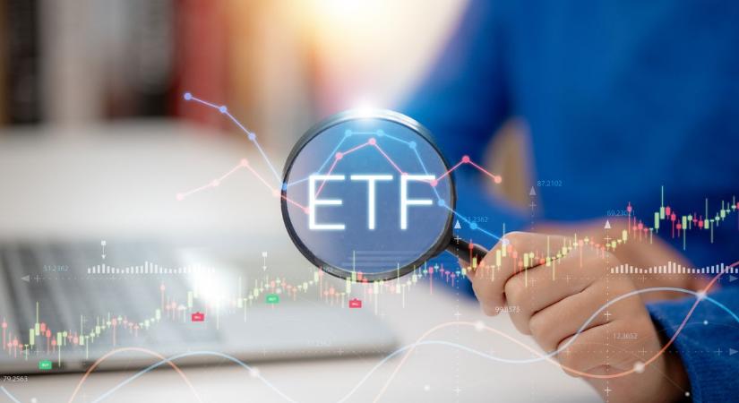 Befektetés: szédületesen gyorsan hízik, a hozamokkal viszont adós maradt a befektetők kedvence– sokan hoppon maradtak