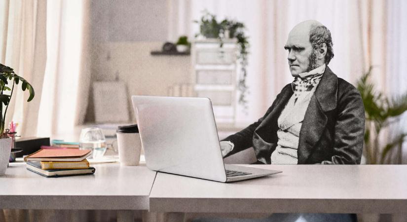 Már Darwin is home office-ban dolgozott, úgyhogy nekünk is menni fog – főleg, ha adottak a körülmények