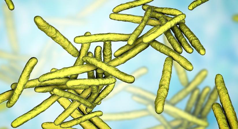 Riasztották a járványügyet: visszatért a rettegett kórság a középkorból a magyarlakta városba