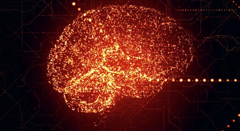 A gyerekkori traumák szinte teljesen átformálják az agyi mechanizmusokat felnőttkorra