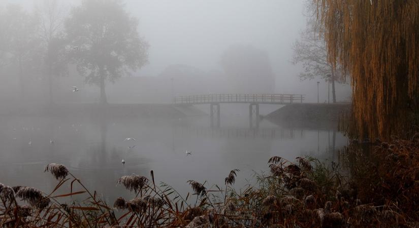 A hétvégén is enyhe, de borult idő várható