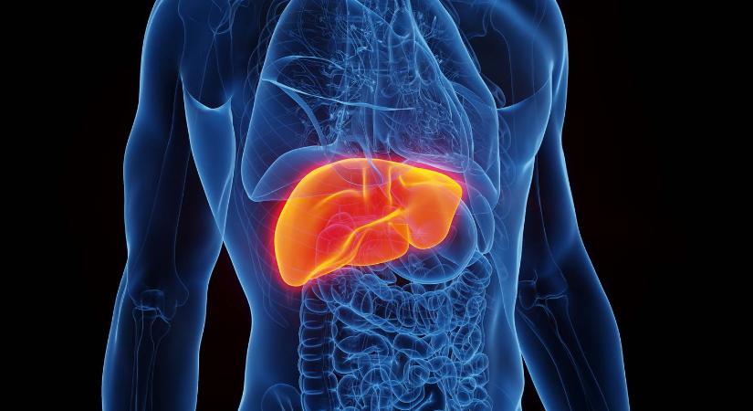 Ez a zöldség igazi védőpajzs a májnak, ráadásul még nagyon olcsó is