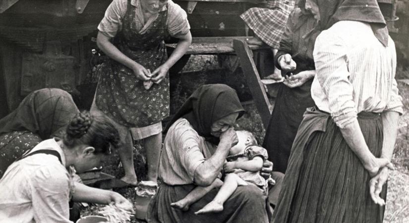 „Buta döntések születtek a Benes-dekrétumokról” – felvidéki politológus a szlovák fejleményekről