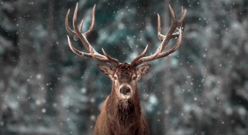 Napi horoszkóp 2025. december 13.: ritka szerencsés szombat