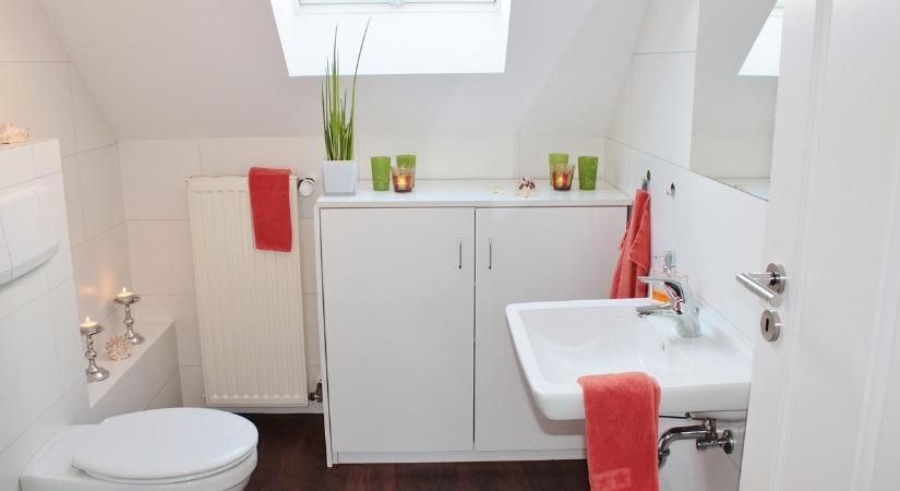 Itt van a legtöbb baktérium a WC-ben, mégsem tünteti el senki