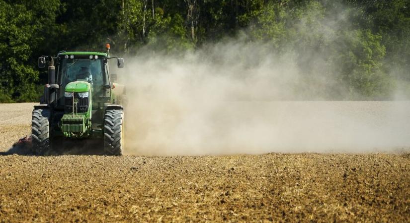 Eladó, kiadó most a földem