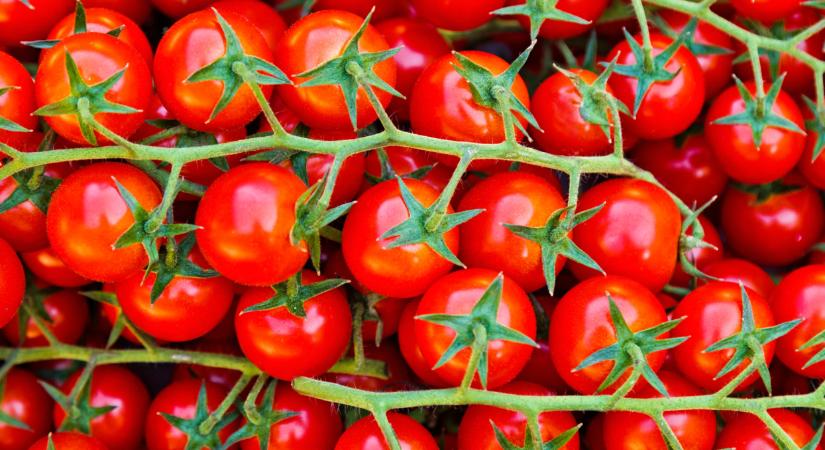 Padlóra kerültek a spanyolok: elképesztő, ami a paradicsompiacon történik