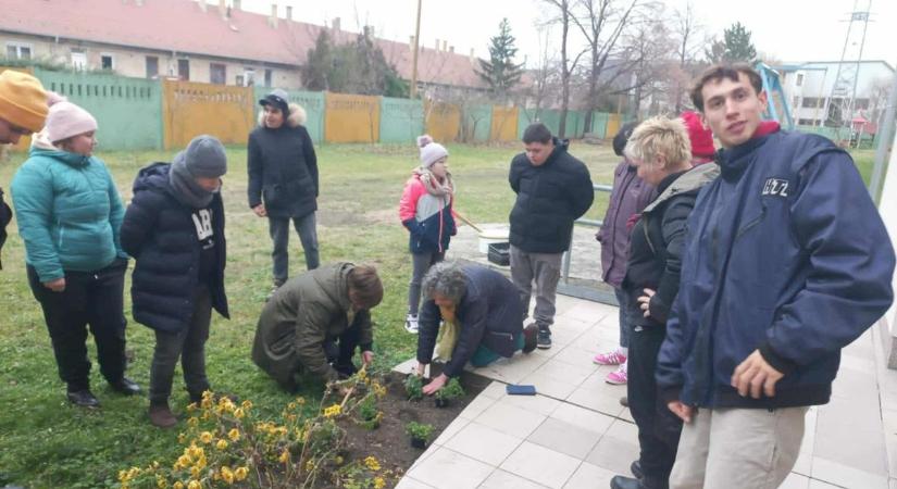 Árvácskák visznek színt és jókedvet a győri gyerekeknek, virágot ültettek a Bárcziban