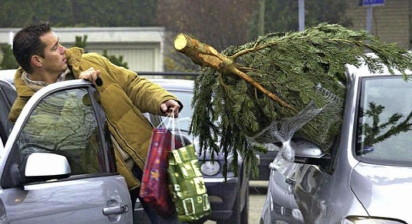 A karácsonyfa súlyos büntetést zúdíthat rád, ha így kerül az autóba