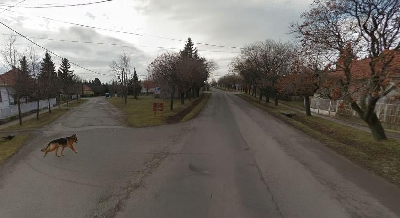 Áll a bál: nagytestű kutya tartja rettegésben a lakosokat, egy kisgyermekes anyukát is megkergetett