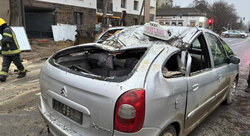 Szatmári: A további balesetek elkerülése érdekében, a többi fát is eltávolíttattuk a helyszínről