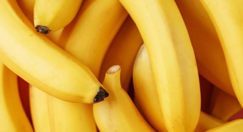 Ezért féltek a tengerészek a banántól – Meglepő, de logikus oka van