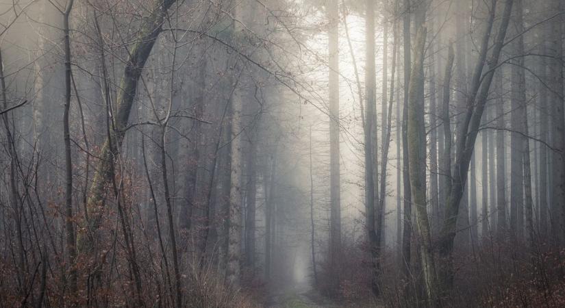 Borult, párás napok sorozata