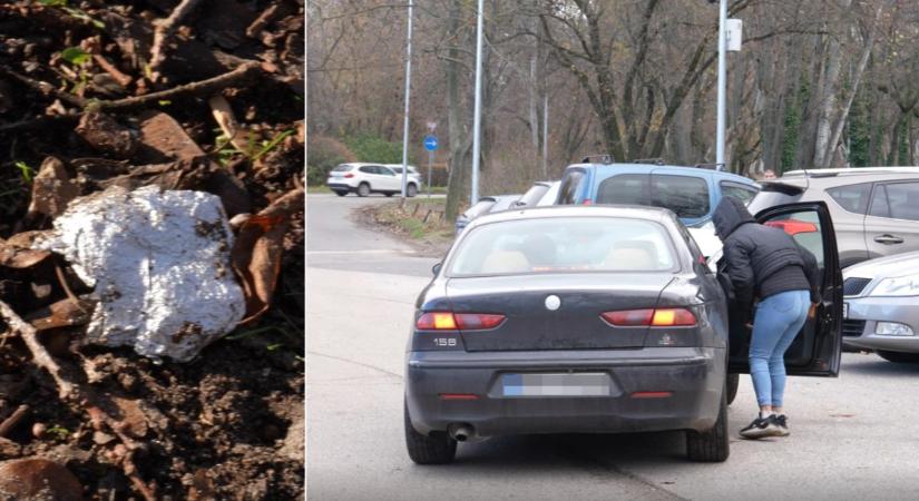 A pusztulás birodalma: A Népliget rettegésben tartja Budapestet – Exkluzív interjúk a pokolból!