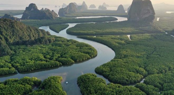 Egyre jobban bíznak a vállalatok a karbonkreditekben