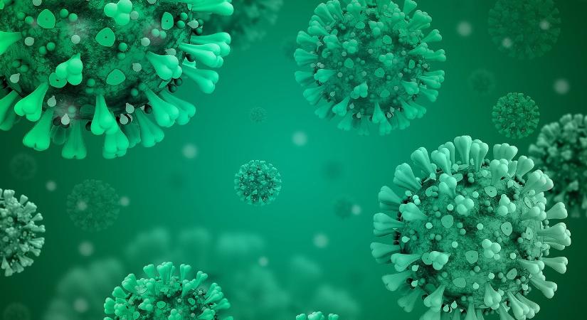 Koronavírus – 1569 új fertőzöttet találtak