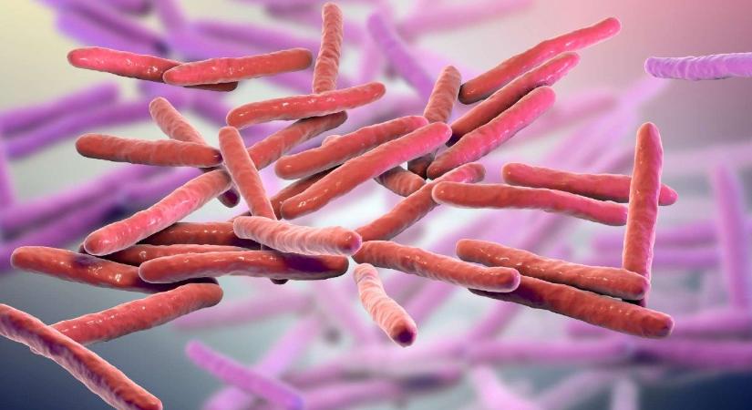 Leprás megbetegedéseket igazoltak Kolozsváron – pénteki hírek