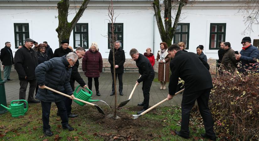 Fát ültettek Krasznahorkai László szülőháza elé