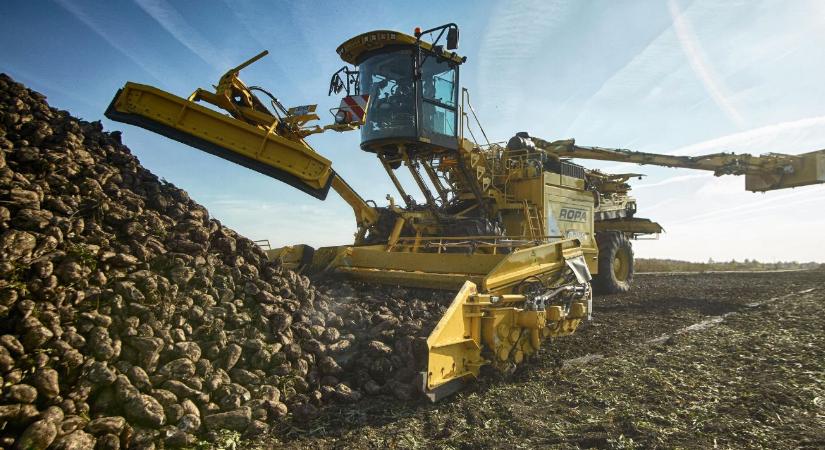 Ukrajna, Mercosur, cukorpiaci nyomás: meddig bírják az európai cukorrépa-termelők?