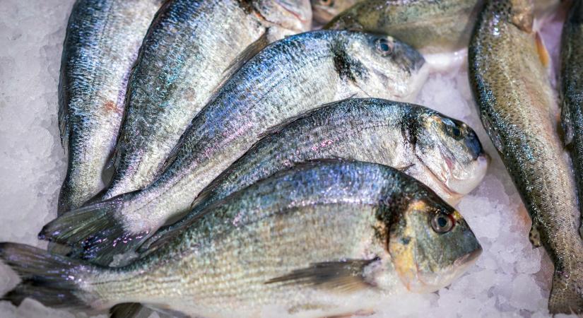 Hazai halat az asztalra!