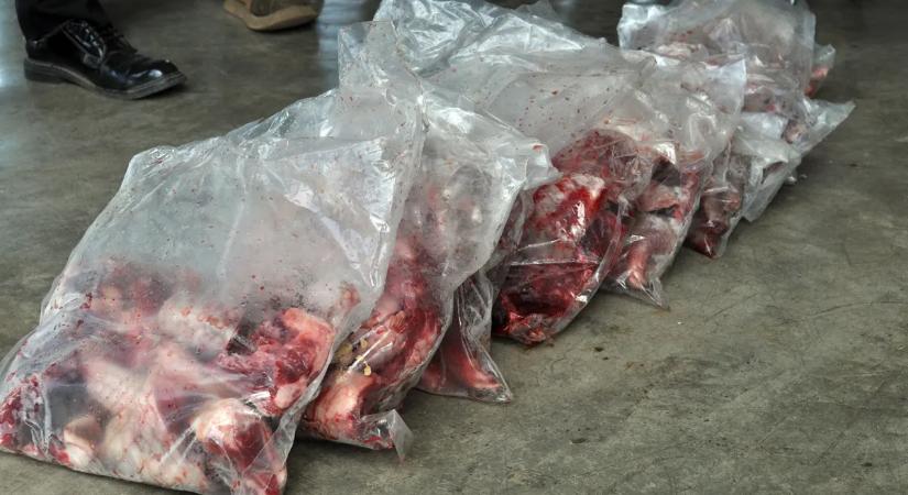 Nem tanultak a Covidból: illegális vadhúsokat tároltak egy fagyasztóban – súlyos járványveszély!