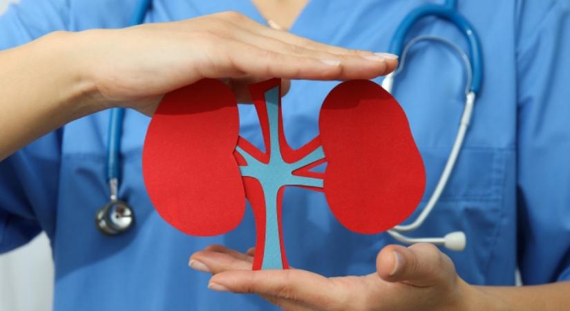 Ez a növény a vese megmentője: gyulladások és vesekő esetén érdemes bevetni, de a vérnyomást is csökkenti