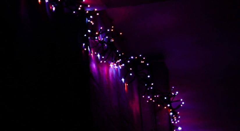 Székesfehérváron nem hittek a szemüknek, olyasmi tűnt fel egy panelház tetején, amire senki nem számított