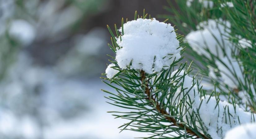 Mutatjuk, mennyi esély van a fehér karácsonyra Győr-Moson-Sopronban