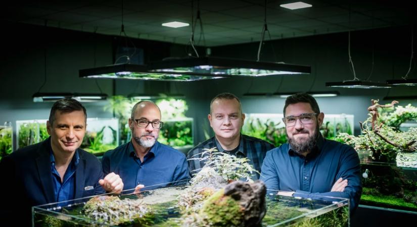 Halak helyett víz alatti tájképek? Azt mondták, lehetetlen. Most hatszázezer követőjük van a YouTube-on, így lett siker a Green Aqua