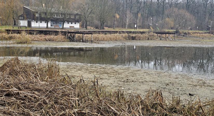 Így keltenék új életre a Vekerit