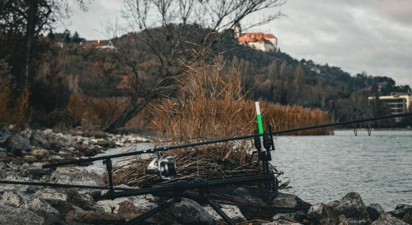 Horgászbottal szarvast fogni? Tihanynál ez sem lehetetlen! (videó)