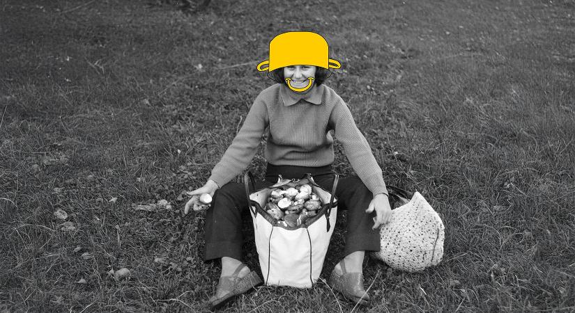 Székely-Balogh Szilvia: Mire jó a gomba?