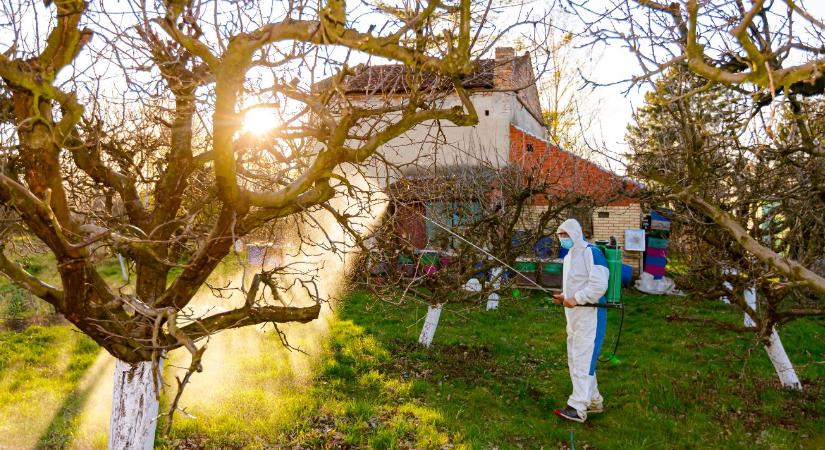 Lemosó permetezés decemberben – mivel lehet még biztonságos?