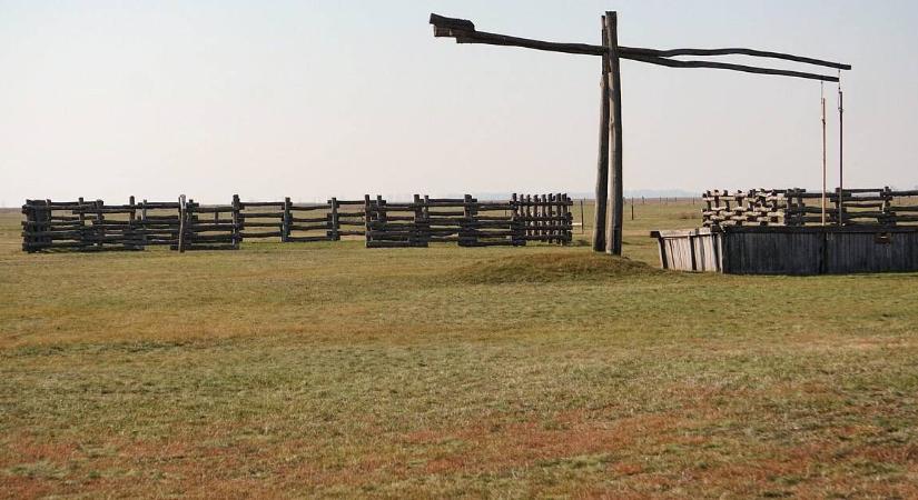 Rejtélyes állatok bukkantak fel a Hortobágyon, egy ismeretlen világból érkeztek