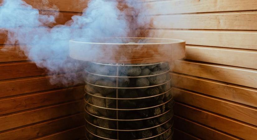 Csala Károly Vencel versei