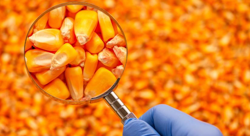 CHGENE biotechnológiai laborszolgáltatás