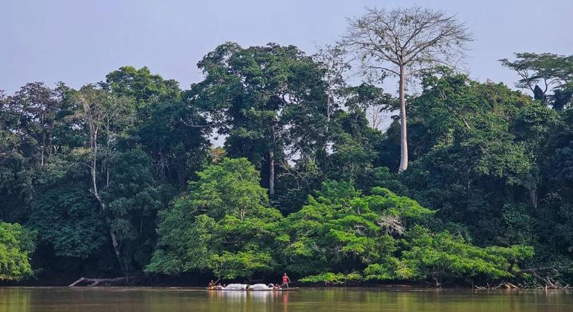 Afrika erdői már nem elnyelik a szenet, hanem kibocsátják
