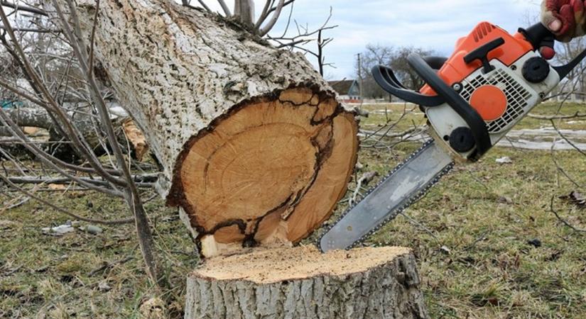 Beszűkül a világ? Időszakos internetes kimaradásokra kell számítani ezen a zalai településen