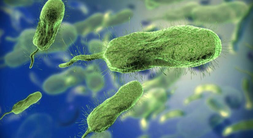 Hátborzongató módszerrel fenyegeti veszélyes AI-videók hada az egészségünket