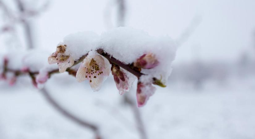 Válság sújtja a gazdákat, lép a kormány: jön a hitelmoratórium