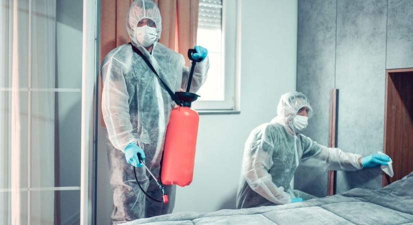 Ágyi poloska irtásból lett tragédia Isztambulban – Zacher Gábor szerint akár percek alatt öl ez a szer