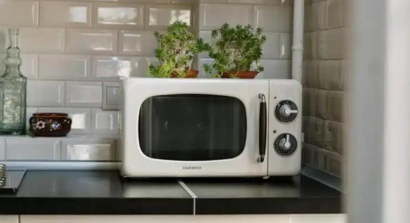 Kitálalt a szakember: Tilos mikrózni ezeket az ételeket, súlyos következménye lehet