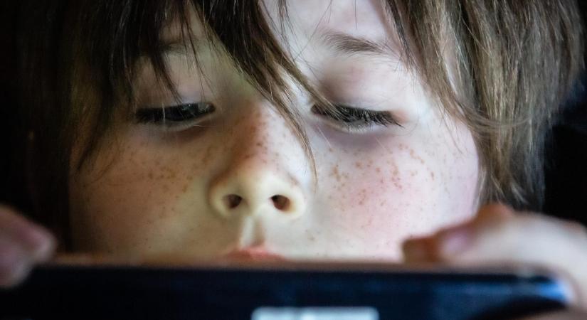 A fiatalok mintegy 70 százalékát zaklatták már az interneten, többségük azonban erről hallgat