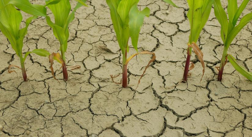 Megint megsegítették a gazdákat: majd egy évig nem kell fizetni a hitelt